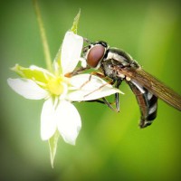 /album/blog-ivancete6336/photolia-a02-jpg/