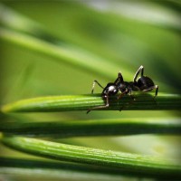 /album/blog-ivancete6336/photolia-a05-jpg/