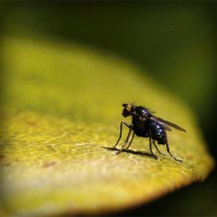 /album/blog-ivancete6336/photolia-a07-jpg/